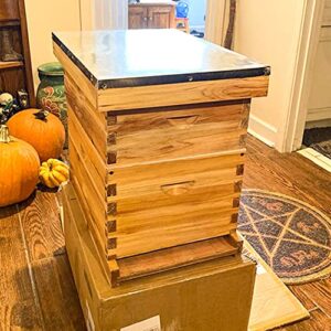 Bee Hive 10 Frame Bee Hives and Supplies Starter Kit, Bee Hive for Beginner, Honey Bee Hives Includes 1 Deep Bee Boxes, 1 Bee Hive Super with Beehive Frames and Foundation