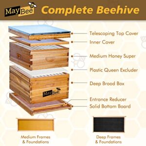 Bee Hive 10 Frame Bee Hives and Supplies Starter Kit, Bee Hive for Beginner, Honey Bee Hives Includes 1 Deep Bee Boxes, 1 Bee Hive Super with Beehive Frames and Foundation