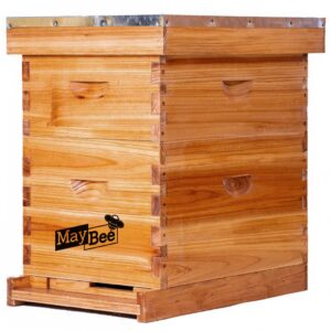 beehive 8 frame bee hives and supplies starter kit, bee hive for beginner, honey bee hives includes 1 deep bee boxes, 1 bee hive super with beehive frames and foundation