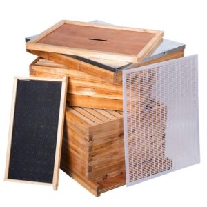 Beehive 8 Frame Bee Hives and Supplies Starter Kit, Bee Hive for Beginner, Honey Bee Hives Includes 1 Deep Bee Boxes, 1 Bee Hive Super with Beehive Frames and Foundation