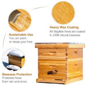 Beehive 8 Frame Bee Hives and Supplies Starter Kit, Bee Hive for Beginner, Honey Bee Hives Includes 1 Deep Bee Boxes, 1 Bee Hive Super with Beehive Frames and Foundation