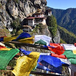 100% Cotton Healing Lama Original Tibetan Wind Horse Prayer Flags. Authentic Buddhist Flags Blessed by a Lama. (Pack of 50 Flags(6.5"X6.5")