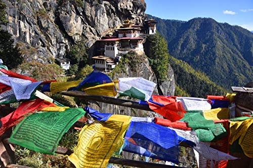 100% Cotton Healing Lama Original Tibetan Wind Horse Prayer Flags. Authentic Buddhist Flags Blessed by a Lama. (Pack of 50 Flags(6.5"X6.5")