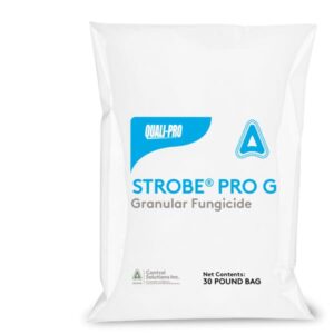strobe pro g granular fungicide