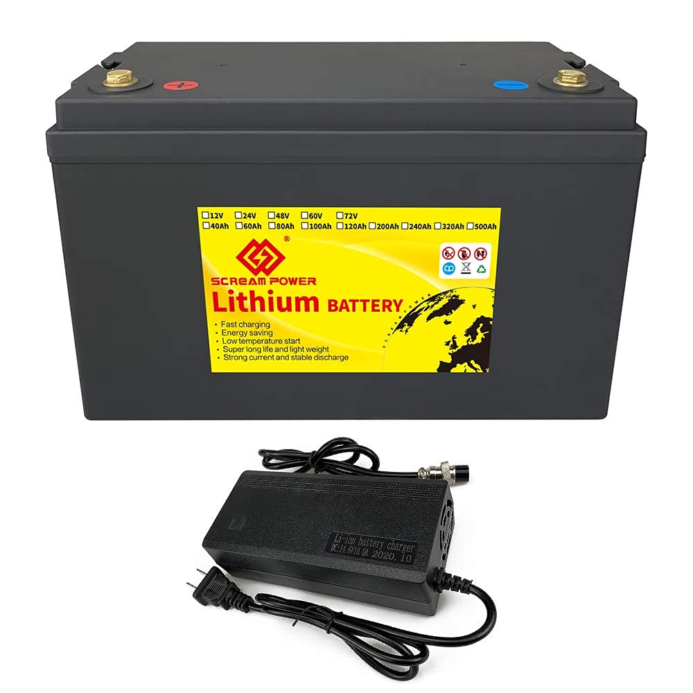 LiFePO4 24V Battery 60Ah Portable Power Station LiFePO4 Battery Backup Solar Generator with USB Ports and LiFePO4 Battery Charger,for Outdoors Camping Travel Hunting,RV,Marine,Off-Grid Solar System