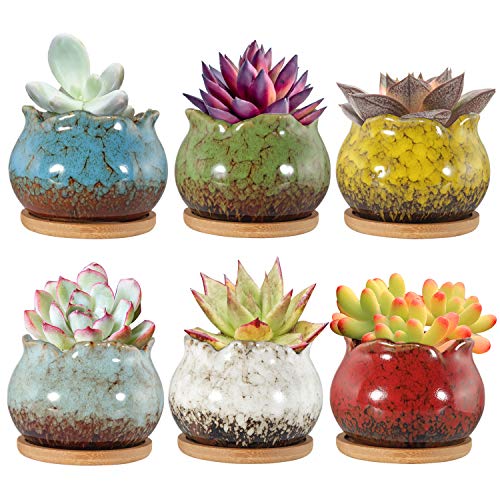 Laerjin Succulent Pots, 4 Inch Ceramic Plant Pots and Drainage Hole with Bamboo Tray, Colorful Flower Planter Pot, Pack of 6 (Plants Not Included)