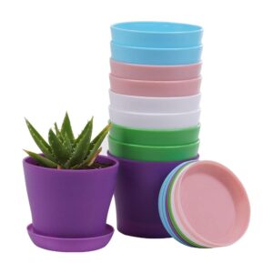 tdhdike 10 pcs plastic planters indoor pots, mini flower seedlings nursery flower pot with pallet, modern decorative gardening containers