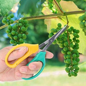 Plant Trimming Scissors, Stainless Steel Fruits Grape Pruning Shears Gardening Scissor for Bonsai Fruit Pruning