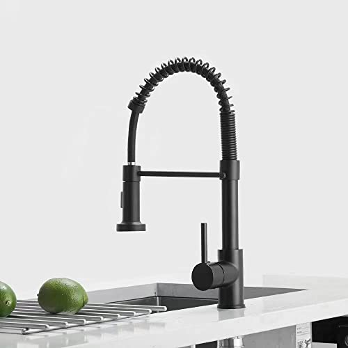 Modern Pull-Out Kitchen Faucet Pull-Down Sprayer Kitchen Sink Faucet All Solid Brass Single Handle (Matte Black)