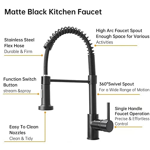 Modern Pull-Out Kitchen Faucet Pull-Down Sprayer Kitchen Sink Faucet All Solid Brass Single Handle (Matte Black)