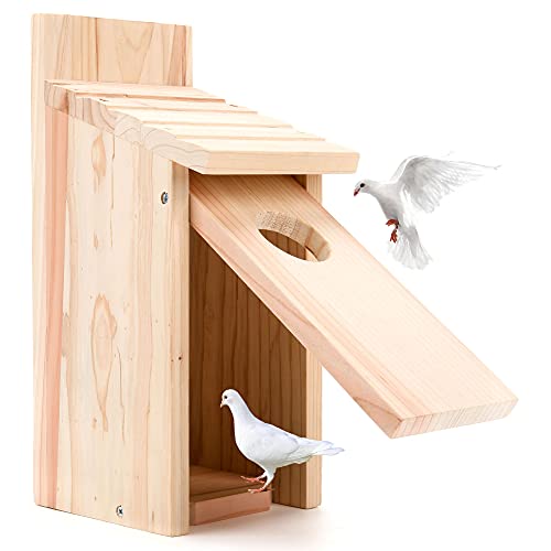 Oceek Cedar Blue Bird Box House Wood Bird House Bluebird Box House Cedar Wren and Chickadee Wren Home Outdoor Hanging Wood Birdhouse No Assembly Required Hummingbird House (1Pack 3115 Assembled)