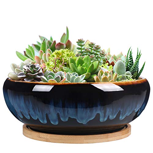 SQOWL 7 Inch Round Ceramic Succulent Planter Pot Drip Glazed Shallow Planter with Drainage Bamboo Tray for Indoor Plants