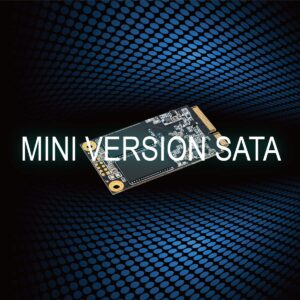 LEVEN JMS600 mSATA SSD 1TB 3D NAND SATA III 6 Gb/s, mSATA (30x50.9mm) Internal Solid State Drive