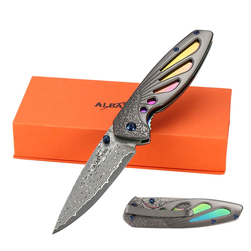 ALBATROSS HGDK026 Practical Sharp Modern Damascus Steel Folding Pocket Knife with Liner Lock for Every Day Use,Gifts/Collections