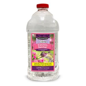 pennington electronectar hummingbird food ready to use clear 64 ounces (pack of 1)