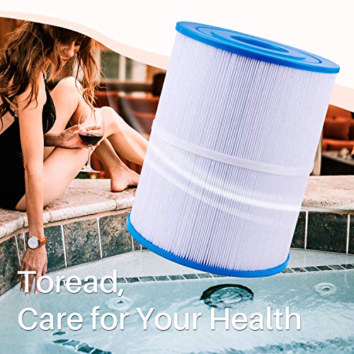 TOREAD NSF-50 Certified Watkins 31114 Replacement Tiger River Spa Filter, Compatible Unicel C-8465, PWK65, Filbur FC-3960, 71827, 71828 Hot Tub Filter, 65 sq. ft Hot Spring Spa Filter (2)