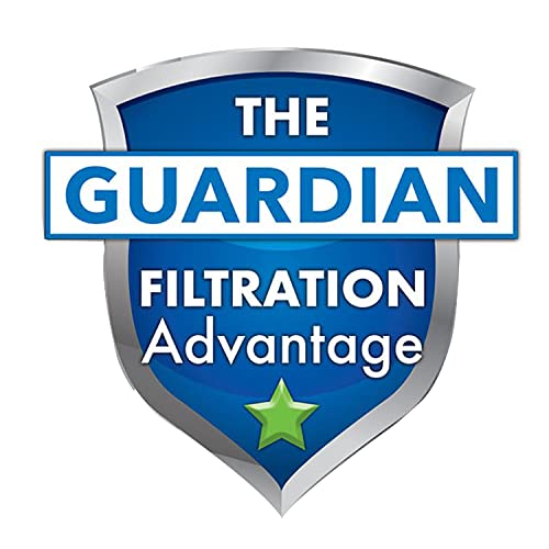 Guardian Filtration Products Spa Filter Cartridge 4H8-210-02 Two-Pack Replacement for Unicel 4CH-935, PLEATCO PWW35L, Waterway Plastics, Teleweir | D-01310 | PDY35P3 | 4CH-935RA | PDC580-AFS