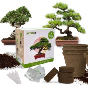 Natureit Bonsai Tree Starter Kit - Grow 4 Bonsai Trees from Seeds. All-in-One Indoor/Outdoor DIY Craft Kits for Adults Men & Women. Christmas Ideas for Plant Lovers or Mom & Dad who has Everything