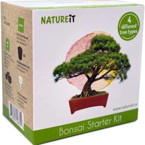 Natureit Bonsai Tree Starter Kit - Grow 4 Bonsai Trees from Seeds. All-in-One Indoor/Outdoor DIY Craft Kits for Adults Men & Women. Christmas Ideas for Plant Lovers or Mom & Dad who has Everything