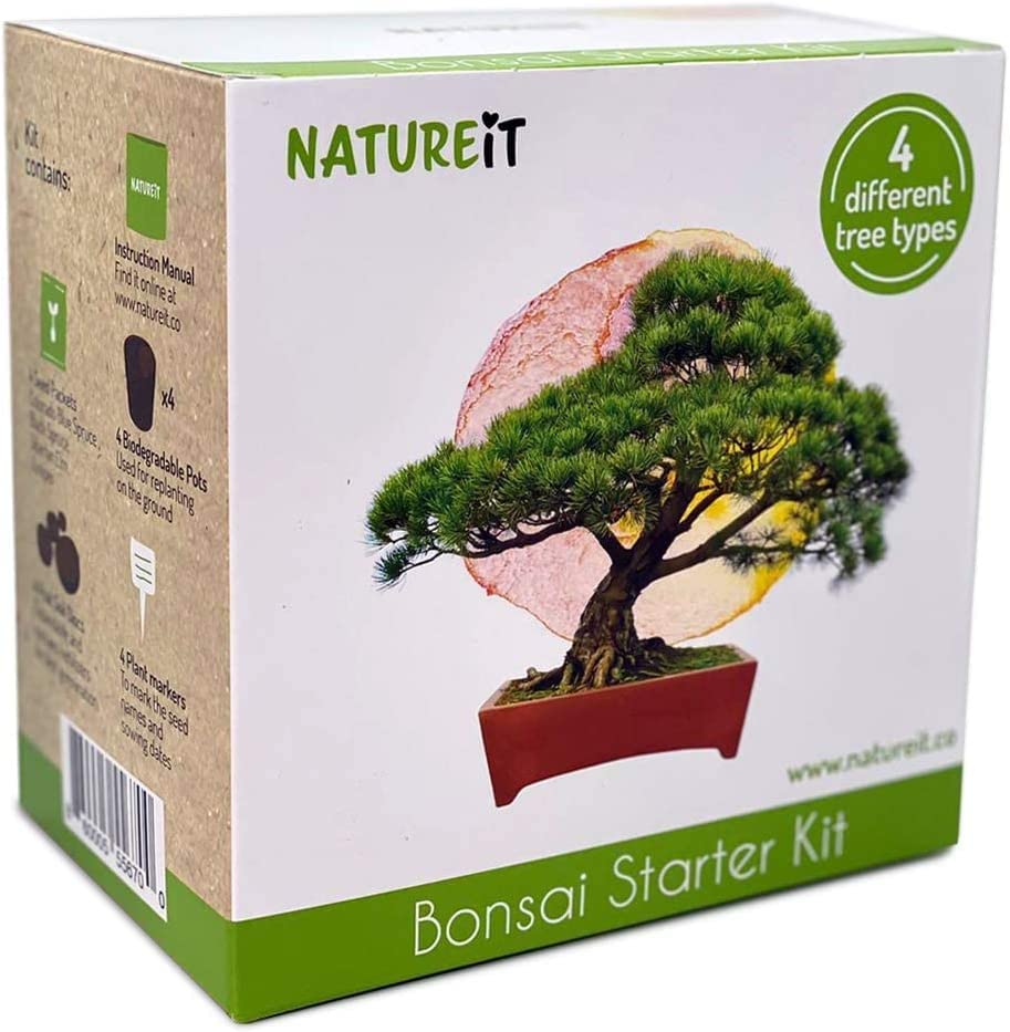 Natureit Bonsai Tree Starter Kit - Grow 4 Bonsai Trees from Seeds. All-in-One Indoor/Outdoor DIY Craft Kits for Adults Men & Women. Christmas Ideas for Plant Lovers or Mom & Dad who has Everything