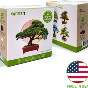 Natureit Bonsai Tree Starter Kit - Grow 4 Bonsai Trees from Seeds. All-in-One Indoor/Outdoor DIY Craft Kits for Adults Men & Women. Christmas Ideas for Plant Lovers or Mom & Dad who has Everything