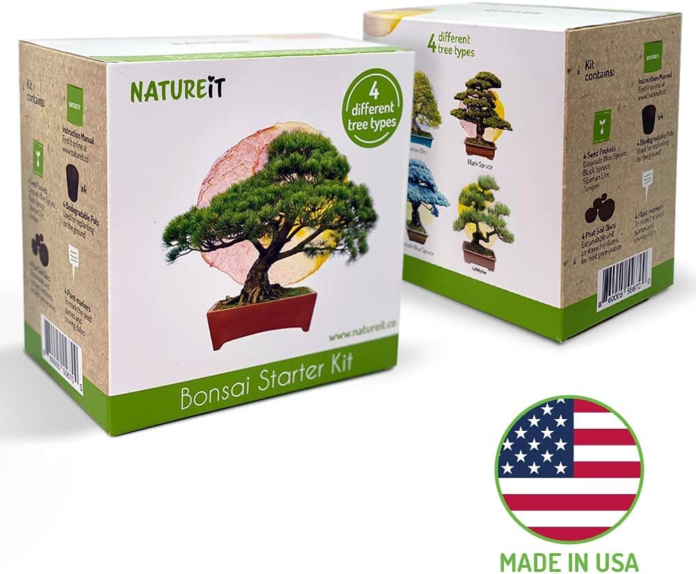 Natureit Bonsai Tree Starter Kit - Grow 4 Bonsai Trees from Seeds. All-in-One Indoor/Outdoor DIY Craft Kits for Adults Men & Women. Christmas Ideas for Plant Lovers or Mom & Dad who has Everything