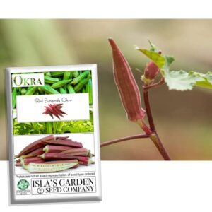 red burgundy okra seeds for planting, 100+ heirloom seeds per packet, (isla's garden seeds), non gmo seeds, botanical name: abelmoschus esculentus, great home garden gift