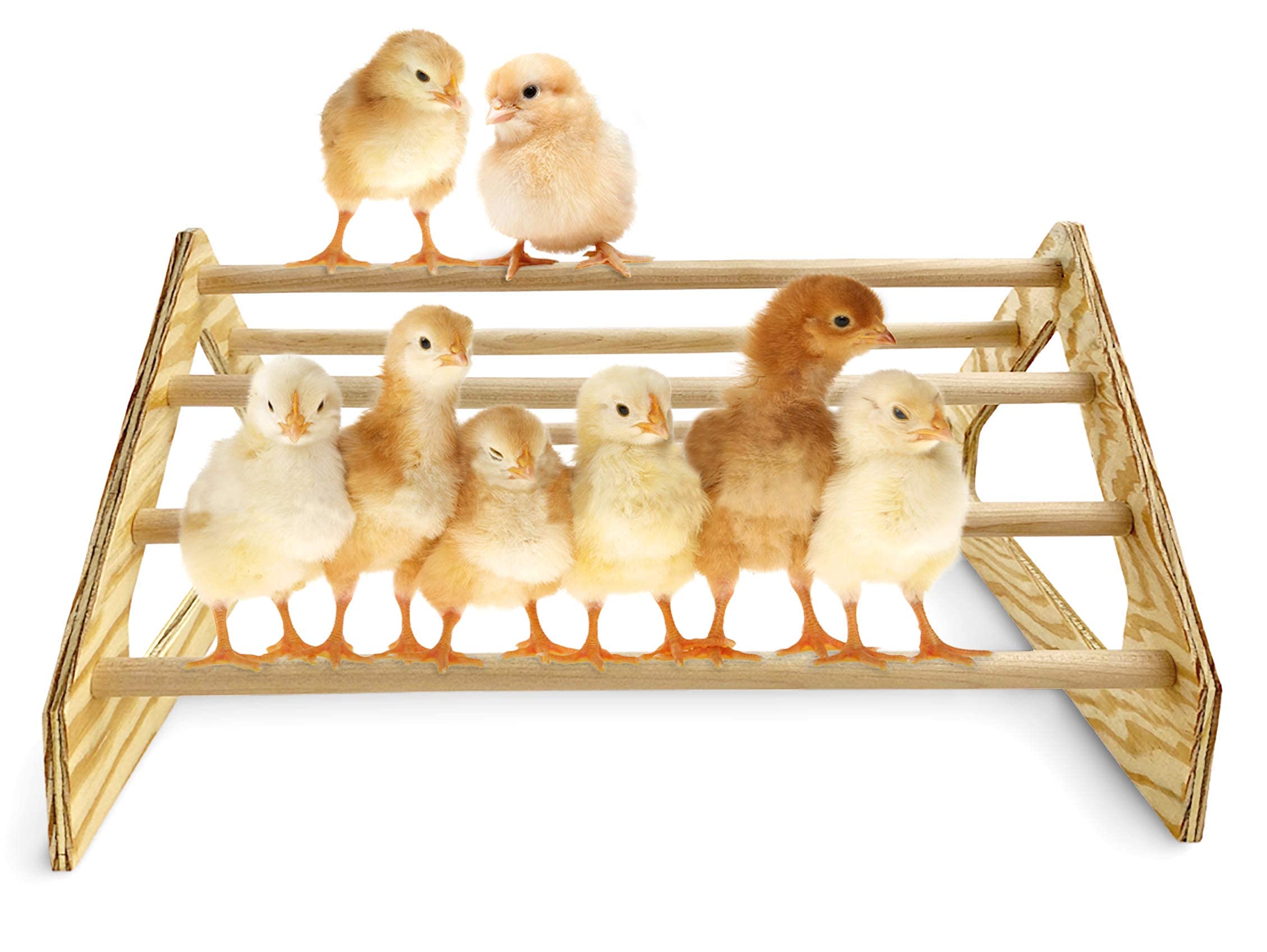 Backyard Barnyard Chick Perch Strong Wooden Jungle Gym Roosting Bar Made in USA!!! Chicken Toys for Coop and Brooder for Baby Chicks El Pollitos La Pollita Pollos Gallinas Polluelos