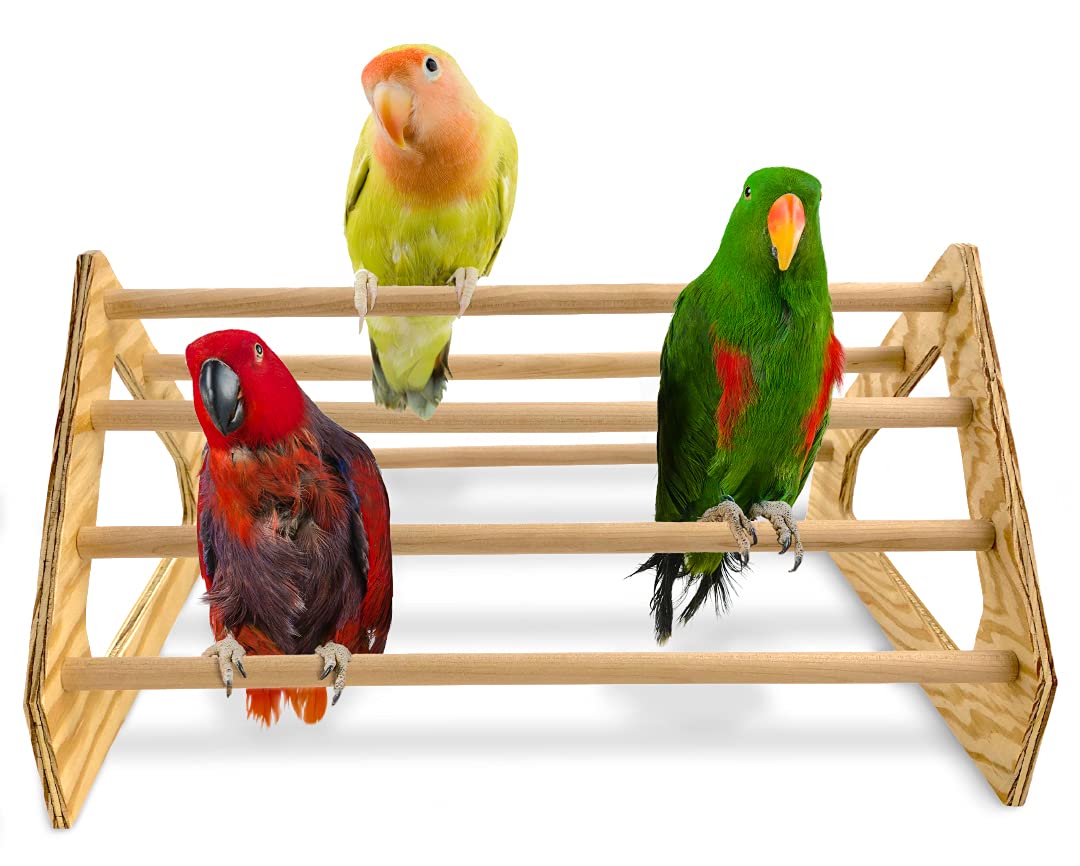 Backyard Barnyard Chick Perch Strong Wooden Jungle Gym Roosting Bar Made in USA!!! Chicken Toys for Coop and Brooder for Baby Chicks El Pollitos La Pollita Pollos Gallinas Polluelos