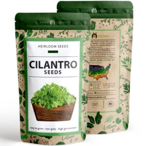 HOME GROWN 500+ Cilantro Seeds for Planting Indoors or Outdoors - Heirloom, Non-GMO Coriander Seeds, Grow Your Own Cilantro Plant - Culinary Herb Seeds for Your Herb Garden