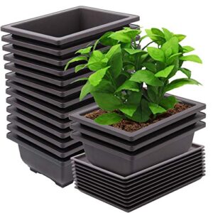 zeonhei 15 pcs 8.8 inch bonsai training pots, bonsai tree growing pots with 15 drainage trays, plastic bonsai planter for garden, yard, office, porch, balcony, home decoration