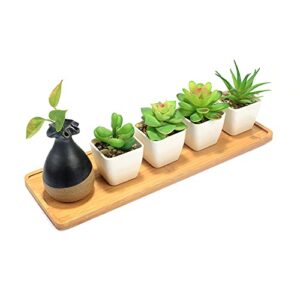 YCDC Mini Rectangular Bamboo Tray, 12x4x0.39 Inch, Suitable for Decor, Planters, and Drainage