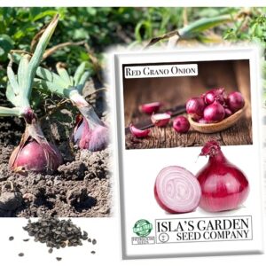 red grano onion seeds for planting, 300+ heirloom seeds per packet, (short day) non gmo seeds, (isla's garden seeds), botanical name: allium cepa