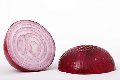 Red Grano Onion Seeds for Planting, 300+ Heirloom Seeds Per Packet, (Short Day) Non GMO Seeds, (Isla's Garden Seeds), Botanical Name: Allium cepa