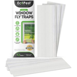 window fly traps – 12 pack | transparent sticky fly trap for windows | discrete, extra large insect glue trap and indoor bug catcher for house flies and other flying insects