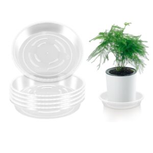 feelove plant saucer, 6 pack of 6 inch plant trays for indoors, thicker plastic flower pot saucers, clear plant saucer drip trays with no holes (6 inch)