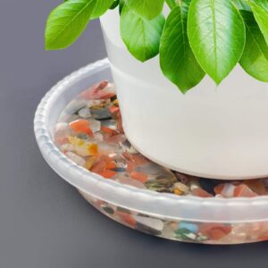 FEELOVE Plant Saucer, 6 Pack of 6 inch Plant Trays for Indoors, Thicker Plastic Flower Pot Saucers, Clear Plant Saucer Drip Trays with no Holes (6 Inch)