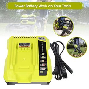 Rapid Charger Compatible with Ryobi 40V Lithium Battery OP4015 OP4026 OP4026A OP4030 OP4040 OP4050 OP4050A OP4060 OP40261 OP40301 OP40401 OP40501 OP40601 OP401 40 Volt Lithium Ion Battery Charger