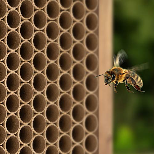 Navaris Cardboard Bee Nesting Tubes (Pack of 200) - 6" Long x 5/16" Diameter Tube for Mason Solitary Bees - for Filling Insect Hotels and Bug Houses