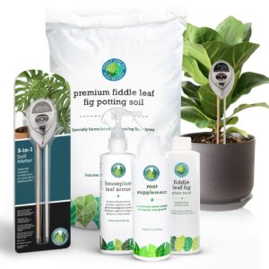 ultimate fiddle leaf fig care bundle