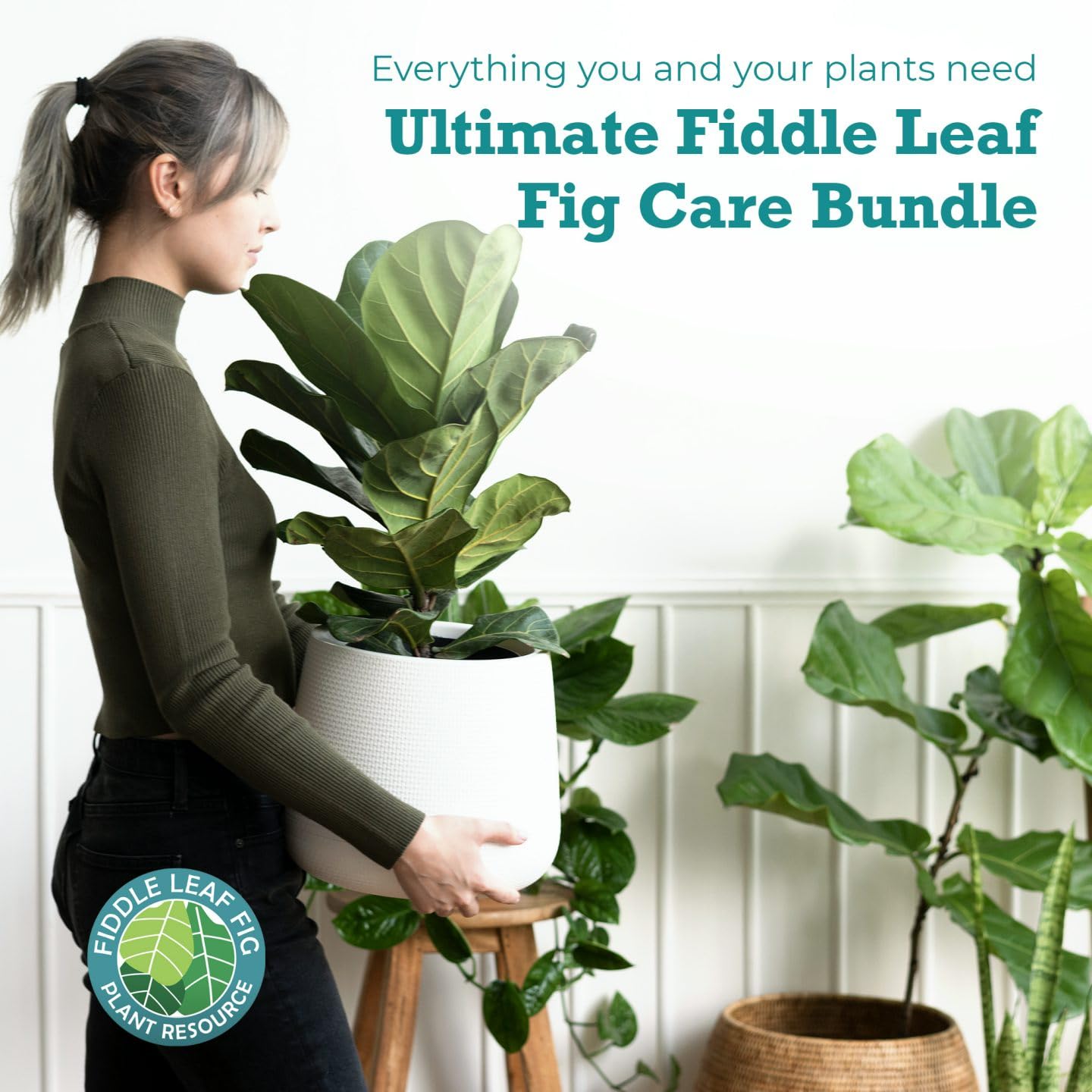 Ultimate Fiddle Leaf Fig Care Bundle