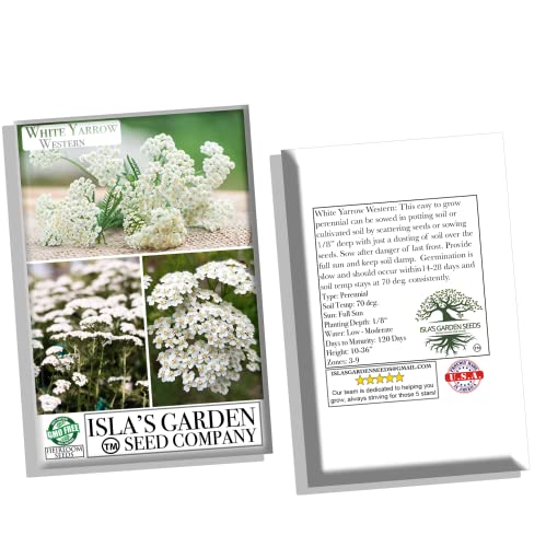 White Yarrow Western Flower Seeds for Planting, 1500+ Seeds Per Packet, (Isla's Garden Seeds), Non GMO & Heirloom Seeds, Botanical Name: Achillea millefolium, Great Home Garden Gift