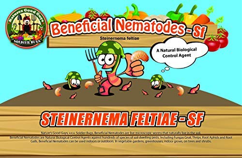 Natures Good Guys - Beneficial Nematodes Steinernema Feltiae - SF (10 Million)