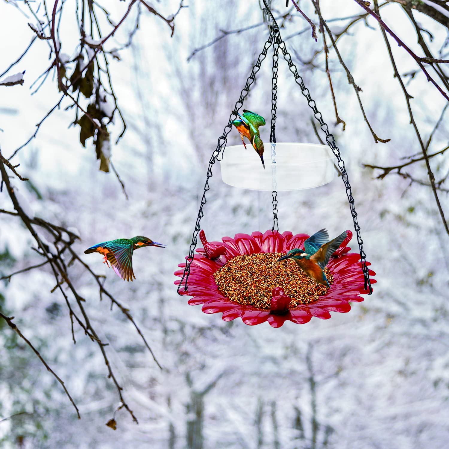 ERYTLLY Hanging Bird Feeder and Bath for Outside, Metal Wild Bird Feeder for Outdoors Garden Backyard Balcony Decor, Large Platform Bird Seed Water Feeders Tray, Bird Watching Gift, Red