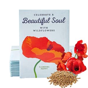american meadows wildflower seed packets "celebrate a beautiful soul" memorial favors (pack of 20) - red poppy seed mix, favors for funerals, wakes, viewings, visitations, memorial services