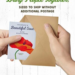American Meadows Wildflower Seed Packets "Celebrate a Beautiful Soul" Memorial Favors (Pack of 20) - Red Poppy Seed Mix, Favors for Funerals, Wakes, Viewings, Visitations, Memorial Services