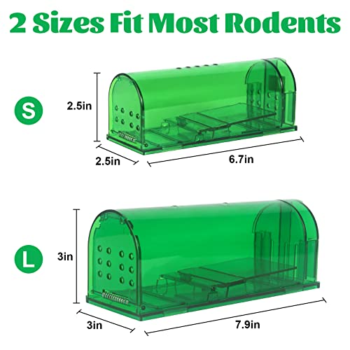 Large Humane Mouse Traps Reusable Rat Traps for Indoor/Outdoor - Safe for Kids/Pets and NO Kill for Small Rodent, Voles, Hamsters, Moles That Works Catch and Release - 2 Pack