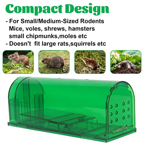 Large Humane Mouse Traps Reusable Rat Traps for Indoor/Outdoor - Safe for Kids/Pets and NO Kill for Small Rodent, Voles, Hamsters, Moles That Works Catch and Release - 2 Pack