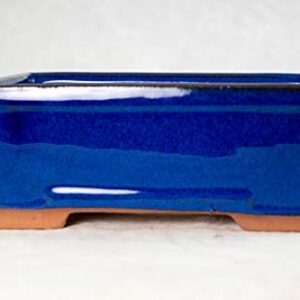 Rectangular Shohin Bonsai/Cactus & Succulent Pot + Mesh 6.25"x 4.75"x 2.5" Dark Blue