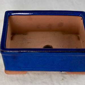 Rectangular Shohin Bonsai/Cactus & Succulent Pot + Mesh 6.25"x 4.75"x 2.5" Dark Blue